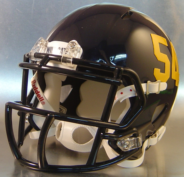 Shoreham-Wading River Wildcats HS 2014 (NY)